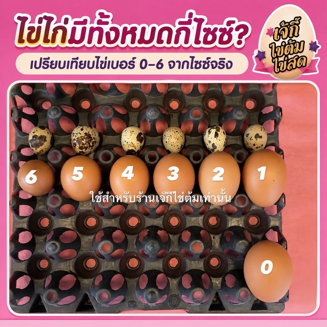 S__35193004 | ไข่ต้ม แก้บน หลวงพ่อโสธร ไข่ต้มแก้บน มีกี่ไซส์